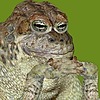 Cameron-Kiesser's avatar
